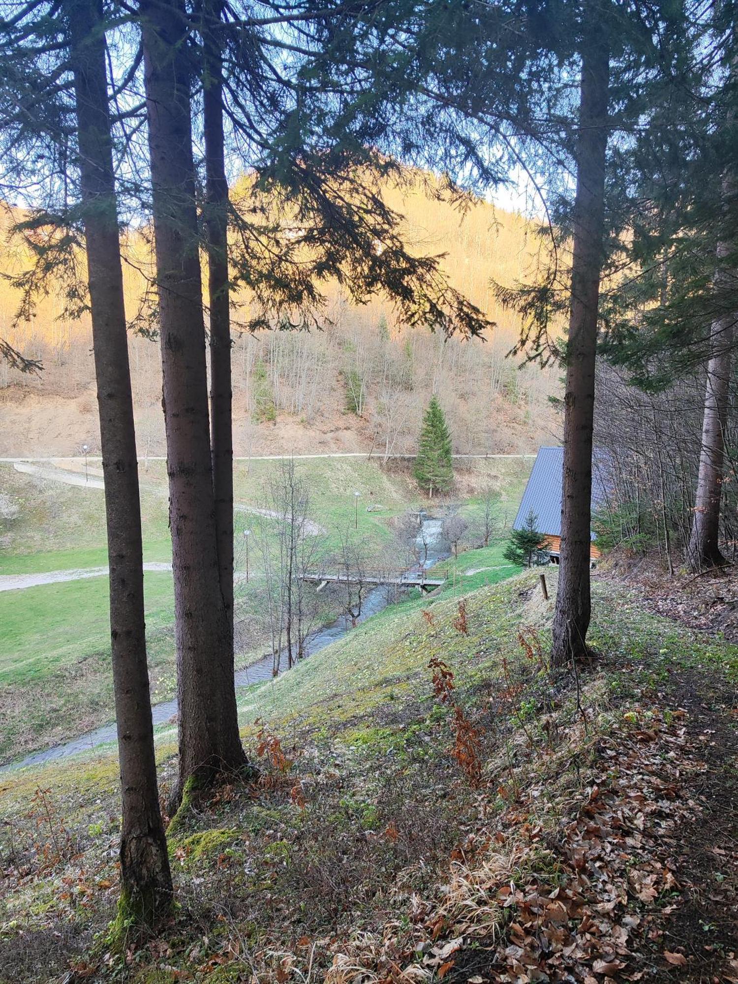 Zlatarska Dolina Panzió Nova Varoš Kültér fotó